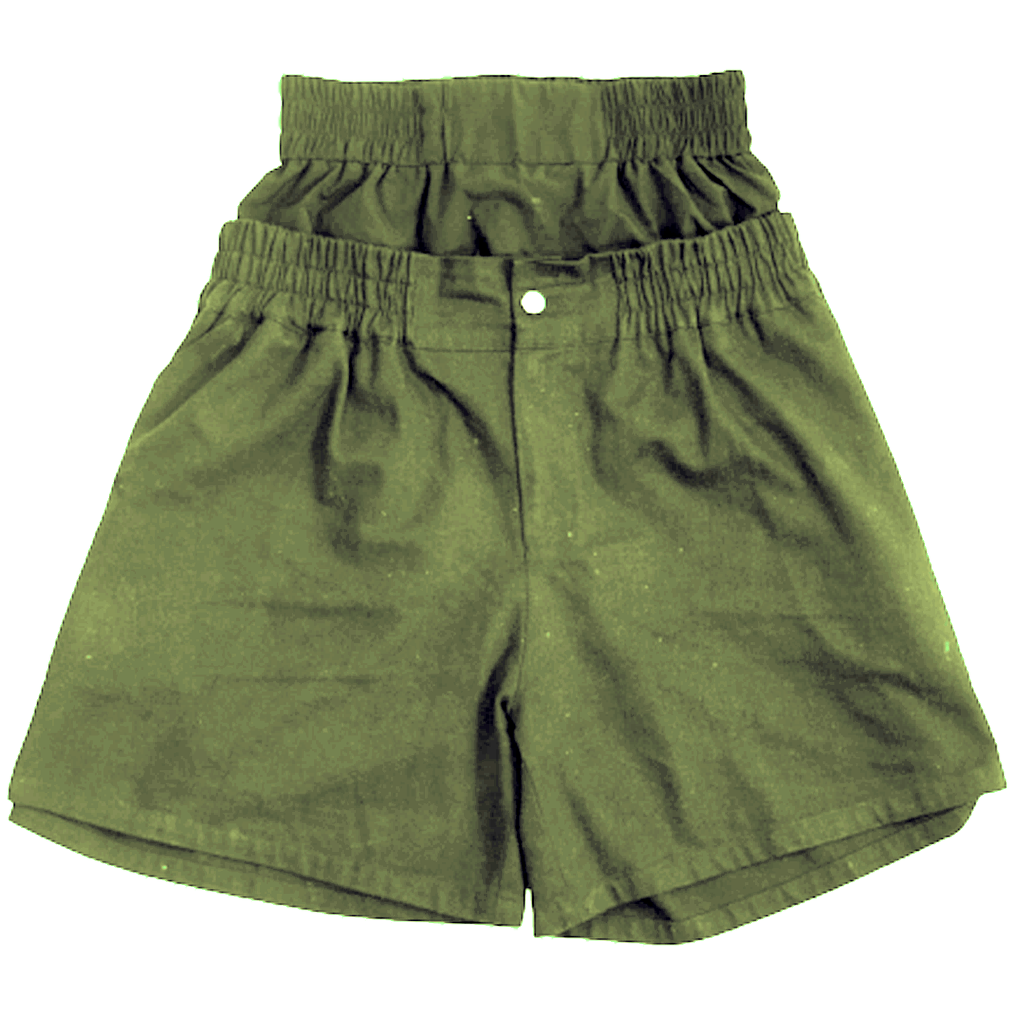 Double Waisted Shorts (Green)